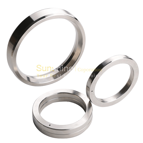 BX Ring Type Joint Gasket | RX, Oval, octagonal RTJ Gasket - Sunshine